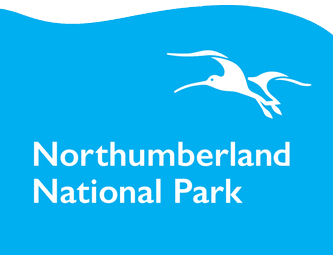 NNP Logo