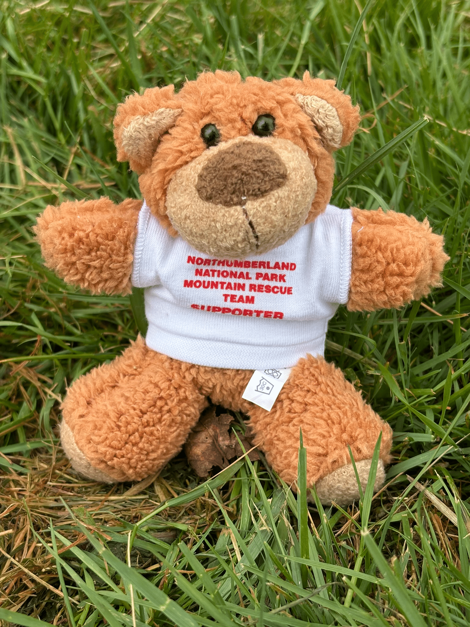 Buster the supporter bear